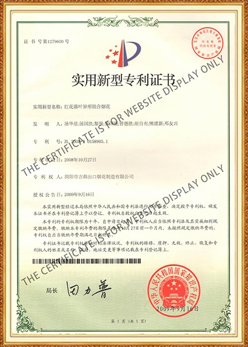 China Patent