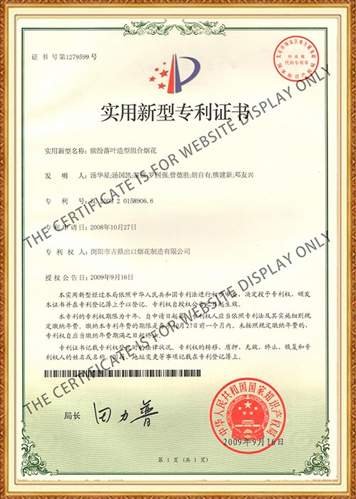 China Patent