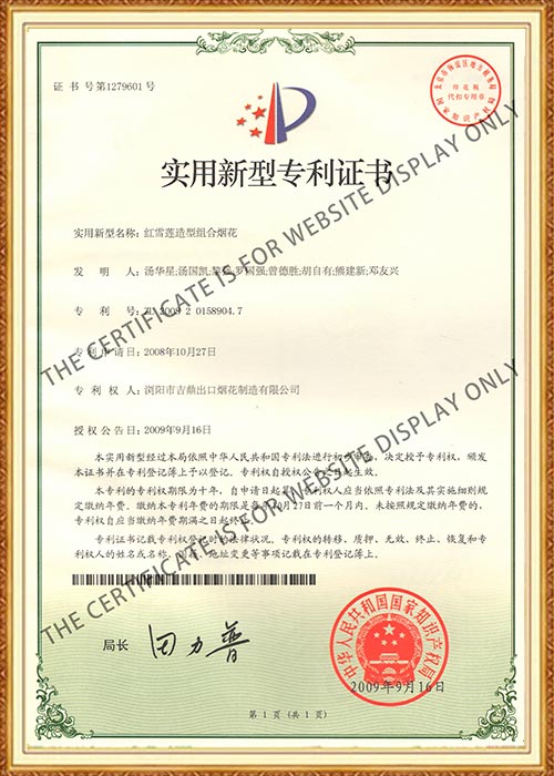 China Patent