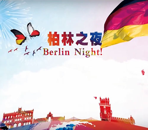 Berlin Night Fireworks Display