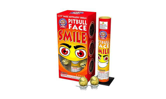 PTF1719-Pitbull Face  Smile
