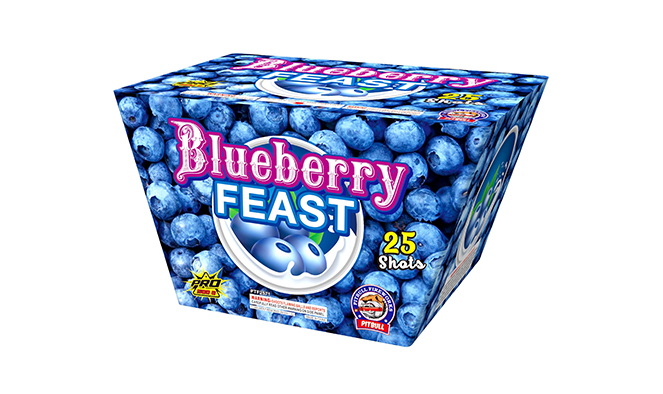 PTF2571-Blueberry Feast